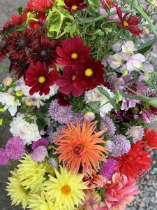 En hink fylld av blandade blommor.