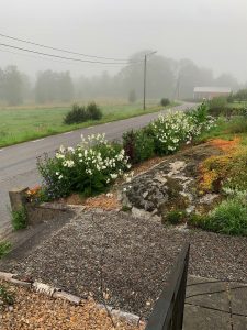 En del av trädgården, med vägen i bakgrunden och bergsrabatten bredvid.