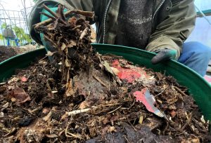 Gammalt papper och växtdelar ligger i en grön såll.