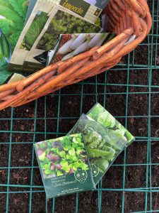 Närbild på en korg med fröer och fröpåsar som ligger på jorden.