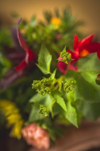 Sommarmalva i bukett