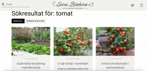 Skärmdump på söksida.