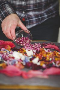 Potpurri av olika torkade blomblad