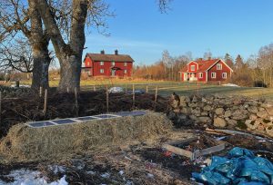 Bild från trädgården med en stor hög halm vid ett staket.