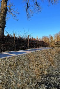 Varmbänken sedd från sidan med ett staket av ris bakom.