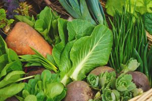 Nyskördade grönsaker