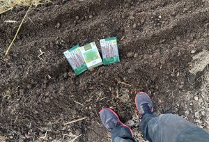 En hand håller små