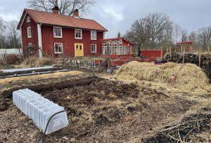 Köksträdgård med halm och många projekt i.
