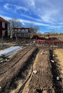 Övergripande bild på en trädgård med stora odlingsbäddar.