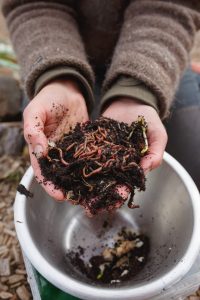 Sara gör en mask-kompost