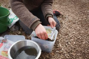 Sara gör en mask-kompost