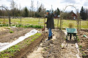 Sara plattar till jorden