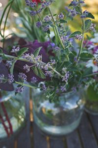 Fluff att fylla ut bukett med