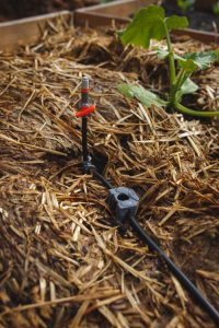 Bevattning för pallkrage