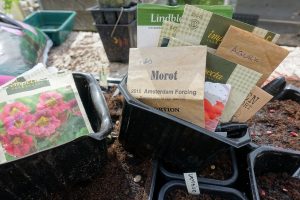 Olika fröpåsar i små plastlådor.