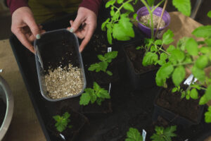 Hälften jord och hälften vermikulit