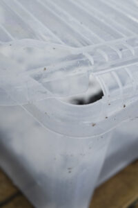 Plastback med locket på glänt