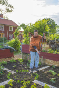 Sara lägger ut bevattningsslang